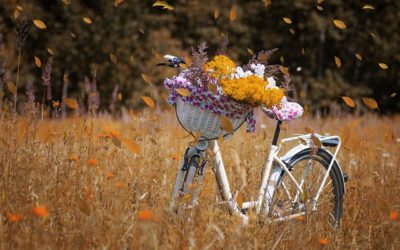 Un rêve de vélo : conseils pour réussir son projet d’entreprise