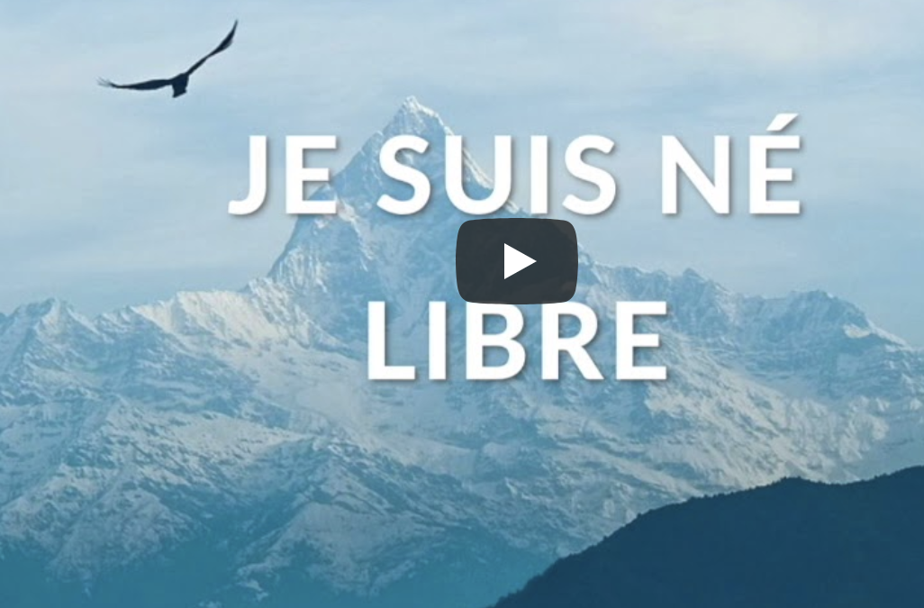 2020, une année de rêve ? À vous de décider !