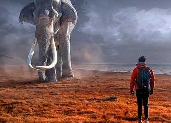 Vive les cauchemars !