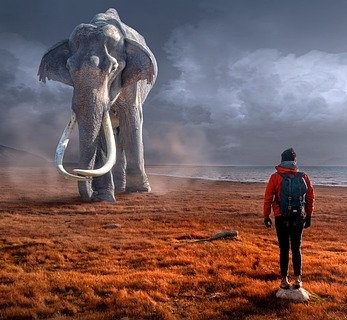 Vive les cauchemars !