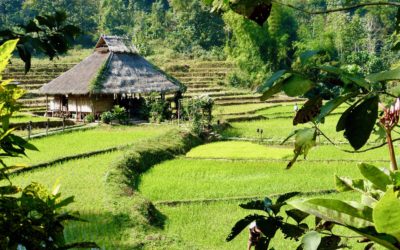 Le confinement : qu’en disent les rêves ?