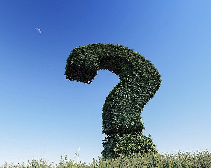 Covid : Quelle est la vraie question, finalement ?