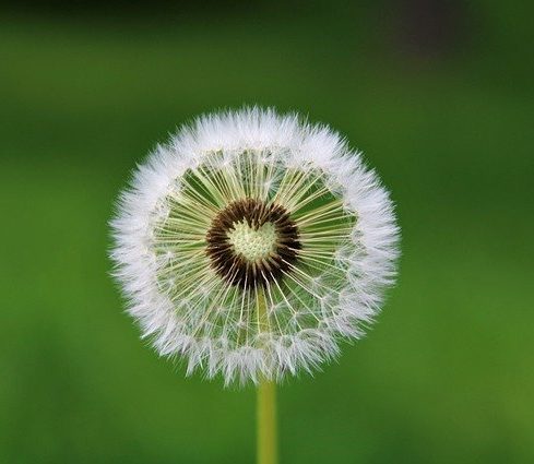 Sortez de la morosité avec les FLOWrilèges!