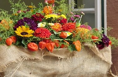 La meilleure attitude face au Covid, selon les rêves