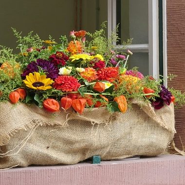 La meilleure attitude face au Covid, selon les rêves