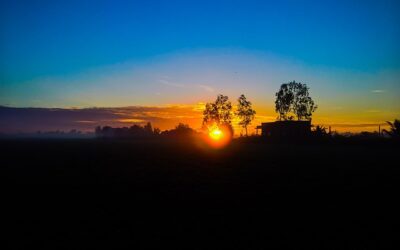 [7 Clés] Connais le sens des rêves & Donne du sens à ta vie